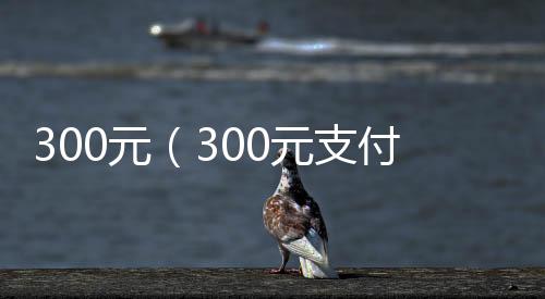 300元（300元支付宝）