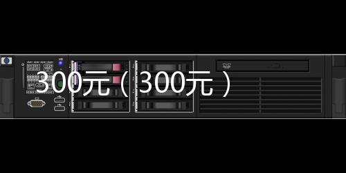 300元（300元）